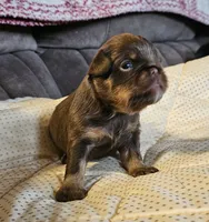 processed/0e4a92db-20b5-4f21-af96-1025e890d3fb/listing/69e6a3ab-7893-444d-b7a0-59c53f4393fe/1a989cf8-8529-4264-ad52-bf9394c98bcb