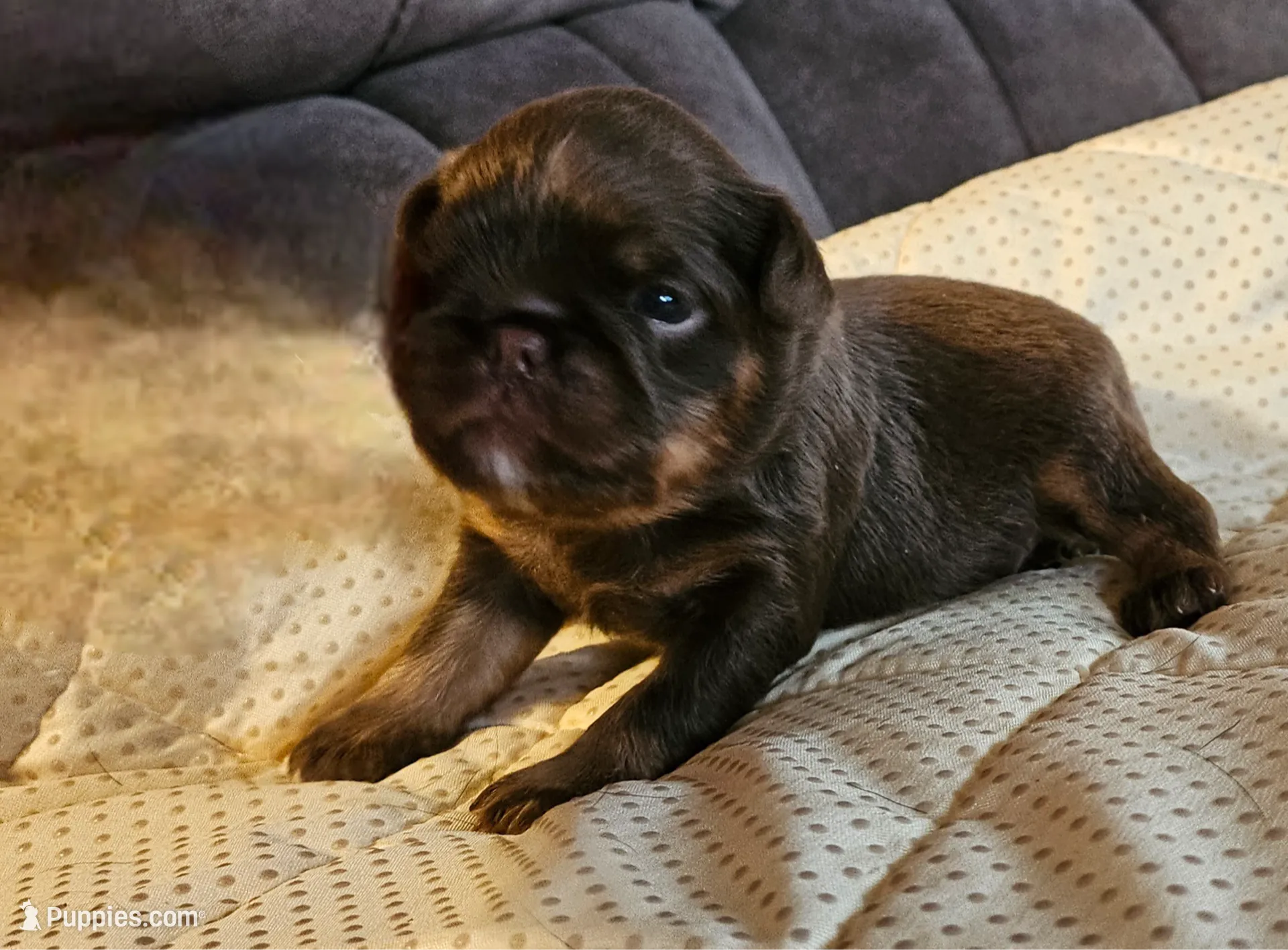 processed/0e4a92db-20b5-4f21-af96-1025e890d3fb/listing/69e6a3ab-7893-444d-b7a0-59c53f4393fe/8c3b4471-a9cf-45e0-afac-f8f4e1b79b0c