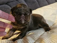 processed/0e4a92db-20b5-4f21-af96-1025e890d3fb/listing/69e6a3ab-7893-444d-b7a0-59c53f4393fe/d4493d08-b8f5-4ed6-9c11-ab1409950b43