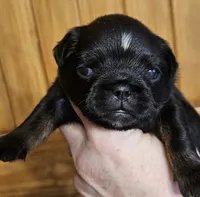 processed/0e4a92db-20b5-4f21-af96-1025e890d3fb/listing/808123a6-13f1-4f27-a499-e0f58352cbfa/77ea9077-c572-427c-a54e-49de26bb69a6