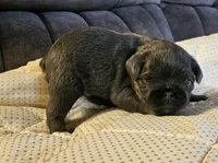 processed/0e4a92db-20b5-4f21-af96-1025e890d3fb/listing/f0969d5e-99e5-441e-ad67-ecf747ce72e5/1982a406-b1d7-4da0-9f61-e4e261c3d759