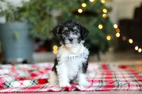 processed/0e4b0eee-9bd8-4eab-94fd-b6d77bedd41e/listing/900841cb-a388-4ad5-9695-7b142f9930e5/15082828-b2c4-4f0b-8d67-9006f81e4057