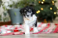 processed/0e4b0eee-9bd8-4eab-94fd-b6d77bedd41e/listing/900841cb-a388-4ad5-9695-7b142f9930e5/32896c15-c6f0-4216-8256-9bd3551c9fd1