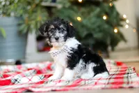 processed/0e4b0eee-9bd8-4eab-94fd-b6d77bedd41e/listing/900841cb-a388-4ad5-9695-7b142f9930e5/440aa16d-7623-4a00-a512-620fd102ab73