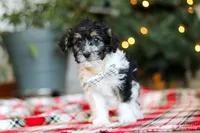 processed/0e4b0eee-9bd8-4eab-94fd-b6d77bedd41e/listing/900841cb-a388-4ad5-9695-7b142f9930e5/91493532-df58-41cb-b92d-ec30ca0fe99f