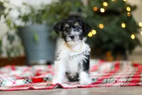 processed/0e4b0eee-9bd8-4eab-94fd-b6d77bedd41e/listing/900841cb-a388-4ad5-9695-7b142f9930e5/f4b1b333-812d-4034-a8b0-0cf52e9d034b