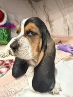 processed/0e4b9102-c4a8-43e7-9c48-8692efa6e79b/listing/24742578-a38b-4e8e-84c0-3428e894bda5/012644b1-01a6-4f9c-aea4-209b627fd6b9