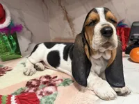 processed/0e4b9102-c4a8-43e7-9c48-8692efa6e79b/listing/24742578-a38b-4e8e-84c0-3428e894bda5/2b730911-a740-47b7-ae29-2b6fbe90174c