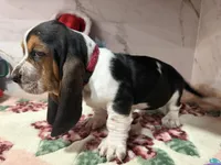 processed/0e4b9102-c4a8-43e7-9c48-8692efa6e79b/listing/24742578-a38b-4e8e-84c0-3428e894bda5/6ee386e4-987e-467f-80a3-598b58d3f3ae