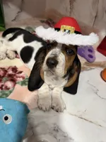 processed/0e4b9102-c4a8-43e7-9c48-8692efa6e79b/listing/24742578-a38b-4e8e-84c0-3428e894bda5/ffd30ca2-746c-406f-90ef-dcc56f9d2da5