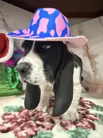 processed/0e4b9102-c4a8-43e7-9c48-8692efa6e79b/listing/39add5ba-ce3b-4c95-9064-5551f1bde85e/27424124-f801-4d75-bd20-d6ba331d1456