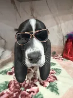 processed/0e4b9102-c4a8-43e7-9c48-8692efa6e79b/listing/39add5ba-ce3b-4c95-9064-5551f1bde85e/55a89a60-5937-4bd7-a027-edbd80dc7ab9