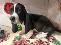 processed/0e4b9102-c4a8-43e7-9c48-8692efa6e79b/listing/39add5ba-ce3b-4c95-9064-5551f1bde85e/68093dd3-d107-4173-af84-aa0782112774