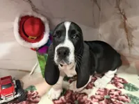 processed/0e4b9102-c4a8-43e7-9c48-8692efa6e79b/listing/39add5ba-ce3b-4c95-9064-5551f1bde85e/6adc060c-7311-48fc-a8b7-302cc667cdbd