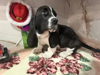 processed/0e4b9102-c4a8-43e7-9c48-8692efa6e79b/listing/39add5ba-ce3b-4c95-9064-5551f1bde85e/6cbff067-5e15-4eec-86ab-9fbc07a4d133