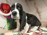 processed/0e4b9102-c4a8-43e7-9c48-8692efa6e79b/listing/39add5ba-ce3b-4c95-9064-5551f1bde85e/cd9b5a39-7d34-4a78-8b62-a203dc806586