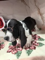 processed/0e4b9102-c4a8-43e7-9c48-8692efa6e79b/listing/39add5ba-ce3b-4c95-9064-5551f1bde85e/ec42b5e2-22a7-4af1-9ba1-b6c8f5f05609