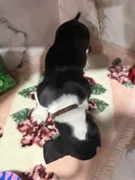 processed/0e4b9102-c4a8-43e7-9c48-8692efa6e79b/listing/39add5ba-ce3b-4c95-9064-5551f1bde85e/edfd3e56-a902-42e0-bcdb-5d31ef8ec2f6