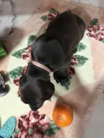 processed/0e4b9102-c4a8-43e7-9c48-8692efa6e79b/listing/3a5639cb-cde3-4cad-83ae-731471e51d30/151c86d1-dcdf-48ad-84c0-c5e416174baa