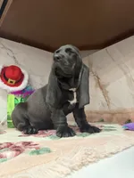 processed/0e4b9102-c4a8-43e7-9c48-8692efa6e79b/listing/3a5639cb-cde3-4cad-83ae-731471e51d30/3106aa87-ce90-4f38-ad21-10e426445553