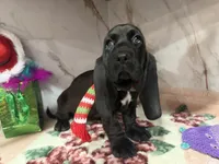 processed/0e4b9102-c4a8-43e7-9c48-8692efa6e79b/listing/3a5639cb-cde3-4cad-83ae-731471e51d30/57dab9d2-cafe-4f90-8a8c-d262e5898adc