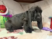 processed/0e4b9102-c4a8-43e7-9c48-8692efa6e79b/listing/3a5639cb-cde3-4cad-83ae-731471e51d30/7000dc73-dc06-4f56-b836-63a980c80b36