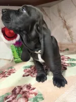 processed/0e4b9102-c4a8-43e7-9c48-8692efa6e79b/listing/3a5639cb-cde3-4cad-83ae-731471e51d30/cce5788c-128f-4d91-8a4a-9b06e9112289