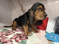 processed/0e4b9102-c4a8-43e7-9c48-8692efa6e79b/listing/6a774914-8511-49fb-8125-92dc27140aa1/049e2620-af96-4467-b826-0e706fc64f77