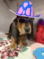 processed/0e4b9102-c4a8-43e7-9c48-8692efa6e79b/listing/6a774914-8511-49fb-8125-92dc27140aa1/38f6e21e-455f-4c7b-9972-b8ebf5907c1f