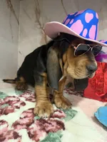 processed/0e4b9102-c4a8-43e7-9c48-8692efa6e79b/listing/6a774914-8511-49fb-8125-92dc27140aa1/4565f702-b3da-4c13-8b65-2c7b2dfa1b33