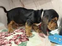 processed/0e4b9102-c4a8-43e7-9c48-8692efa6e79b/listing/6a774914-8511-49fb-8125-92dc27140aa1/88f48b9b-45b0-4070-8cdc-48a3809a2e9b