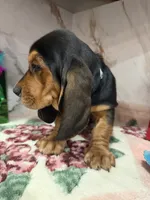 processed/0e4b9102-c4a8-43e7-9c48-8692efa6e79b/listing/6a774914-8511-49fb-8125-92dc27140aa1/99403697-86f7-4f58-8ac3-a38c7aaddf8b