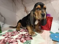 processed/0e4b9102-c4a8-43e7-9c48-8692efa6e79b/listing/6a774914-8511-49fb-8125-92dc27140aa1/c0e30c14-9867-4aaf-874f-309fc902d3f7