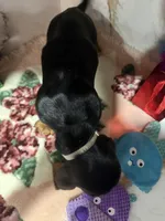 processed/0e4b9102-c4a8-43e7-9c48-8692efa6e79b/listing/6a774914-8511-49fb-8125-92dc27140aa1/ce9f81f9-f271-4557-82ff-d4e0b7283e74