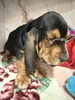 processed/0e4b9102-c4a8-43e7-9c48-8692efa6e79b/listing/6a774914-8511-49fb-8125-92dc27140aa1/eab4a6c7-432c-4b76-b77d-9269933af87c