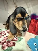 processed/0e4b9102-c4a8-43e7-9c48-8692efa6e79b/listing/6a774914-8511-49fb-8125-92dc27140aa1/f0a90aa7-0062-4d7a-91e9-58e0e700c48a