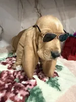 processed/0e4b9102-c4a8-43e7-9c48-8692efa6e79b/listing/f552a767-4000-4295-9204-7c40a7eb8a65/16d1f49b-bf32-4291-aee6-907e65501c60