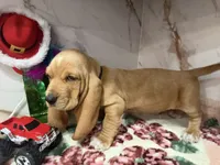 processed/0e4b9102-c4a8-43e7-9c48-8692efa6e79b/listing/f552a767-4000-4295-9204-7c40a7eb8a65/1bdd9870-83a1-4001-8f13-fa078bd1524b