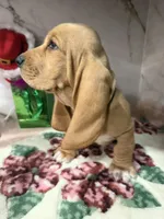 processed/0e4b9102-c4a8-43e7-9c48-8692efa6e79b/listing/f552a767-4000-4295-9204-7c40a7eb8a65/302e3186-8bfe-49de-a173-ef44abffb562