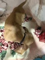 processed/0e4b9102-c4a8-43e7-9c48-8692efa6e79b/listing/f552a767-4000-4295-9204-7c40a7eb8a65/35d819bd-bff1-4caa-8f13-b97159e75265