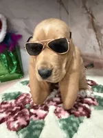 processed/0e4b9102-c4a8-43e7-9c48-8692efa6e79b/listing/f552a767-4000-4295-9204-7c40a7eb8a65/4a1a1b33-5007-4323-9389-9bcee3dab1f6