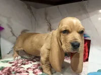 processed/0e4b9102-c4a8-43e7-9c48-8692efa6e79b/listing/f552a767-4000-4295-9204-7c40a7eb8a65/61c20b0b-0072-4823-87a5-5ca40683c73f