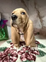 processed/0e4b9102-c4a8-43e7-9c48-8692efa6e79b/listing/f552a767-4000-4295-9204-7c40a7eb8a65/93491e71-8268-4b0e-946d-c406cfd3bff5