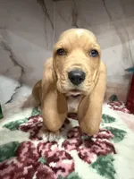 processed/0e4b9102-c4a8-43e7-9c48-8692efa6e79b/listing/f552a767-4000-4295-9204-7c40a7eb8a65/a7f57cf5-11c3-4d3a-b0e3-08c28b07b632