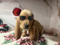 processed/0e4b9102-c4a8-43e7-9c48-8692efa6e79b/listing/f552a767-4000-4295-9204-7c40a7eb8a65/bfc356eb-fbdb-463a-a1ad-6b222cda6f32