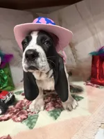 processed/0e4b9102-c4a8-43e7-9c48-8692efa6e79b/listing/fe7d0e30-525a-41b9-96a7-2ff57d598d4d/220321f8-b5e0-4d32-a948-666844d76ca2