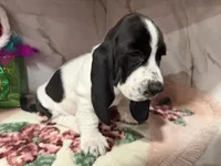 processed/0e4b9102-c4a8-43e7-9c48-8692efa6e79b/listing/fe7d0e30-525a-41b9-96a7-2ff57d598d4d/7e3a3546-e5a8-492b-bb4c-95d97488ce70