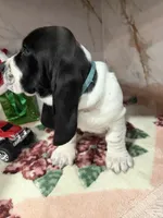 processed/0e4b9102-c4a8-43e7-9c48-8692efa6e79b/listing/fe7d0e30-525a-41b9-96a7-2ff57d598d4d/8e22f9a8-c380-4c79-bb53-c345639a576b