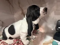 processed/0e4b9102-c4a8-43e7-9c48-8692efa6e79b/listing/fe7d0e30-525a-41b9-96a7-2ff57d598d4d/b1f15568-c46f-48b4-8c17-2334dbacfecf