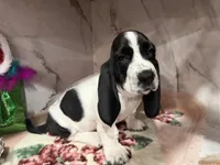 processed/0e4b9102-c4a8-43e7-9c48-8692efa6e79b/listing/fe7d0e30-525a-41b9-96a7-2ff57d598d4d/d31d337d-cc29-4791-a12d-96cc50e342c2